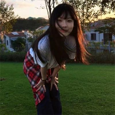 红色康乃馨