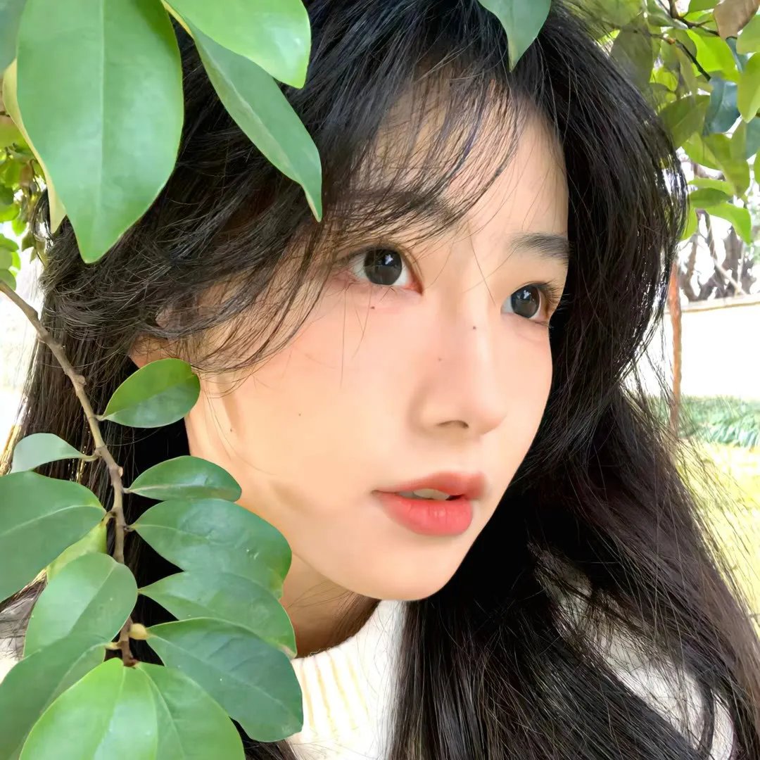 青春情感