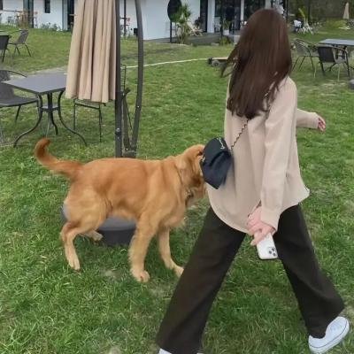 莎琳娜之永远的朋友